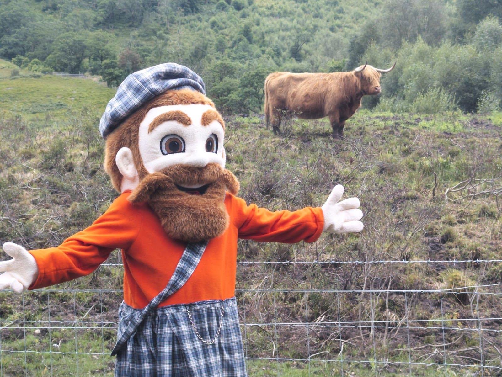 Mac the Scot in Scotland, with a Highland Cow in the background.