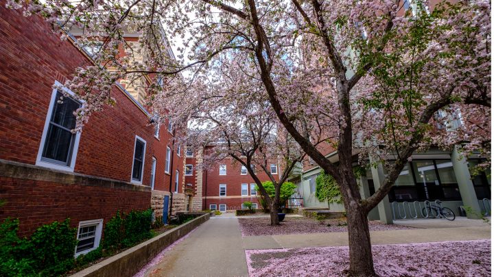 macalester college early action decision date