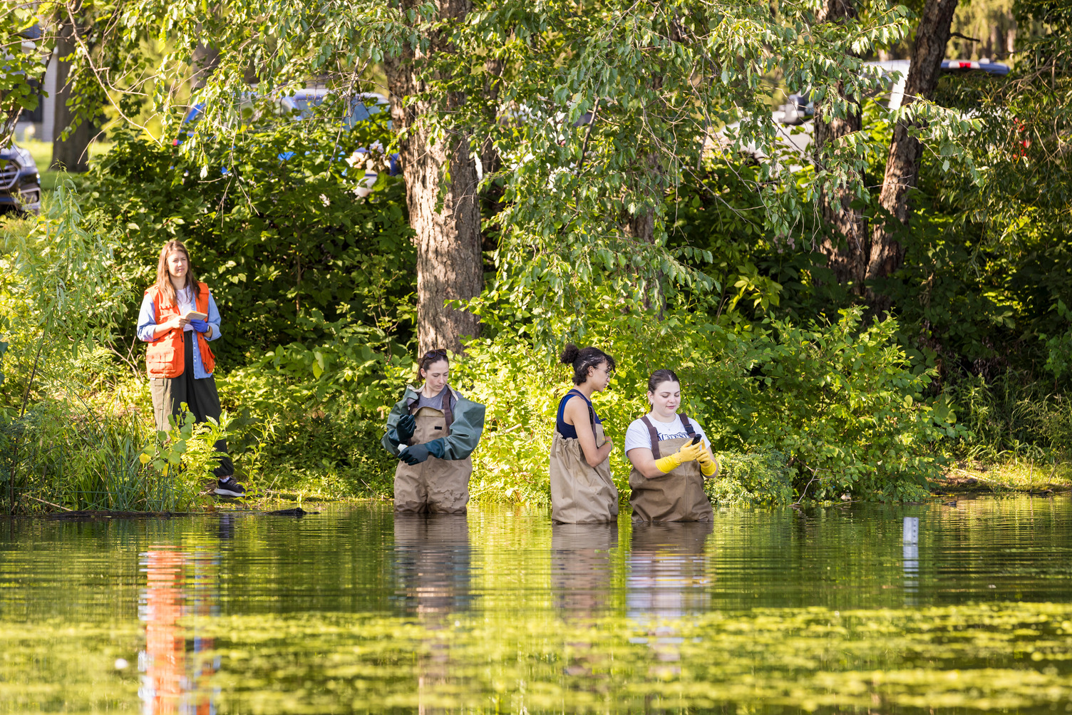 Students and Professor Anika Bratt surveying a pond for toxins produced by harmful harmful algal blooms