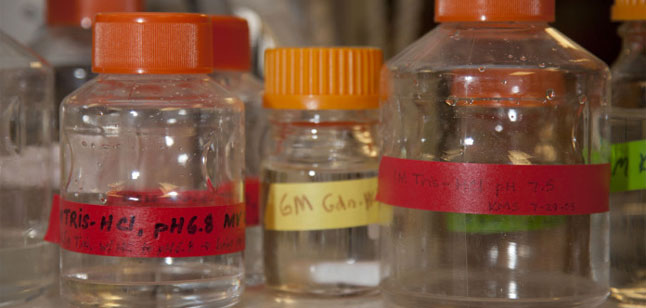 Empty bottles of chemistry compounds