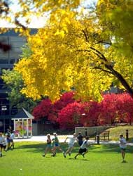 Frisbee on the quad