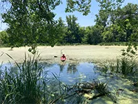 Tackling the Ecological and Environmental Justice Challenge of Algal Blooms”