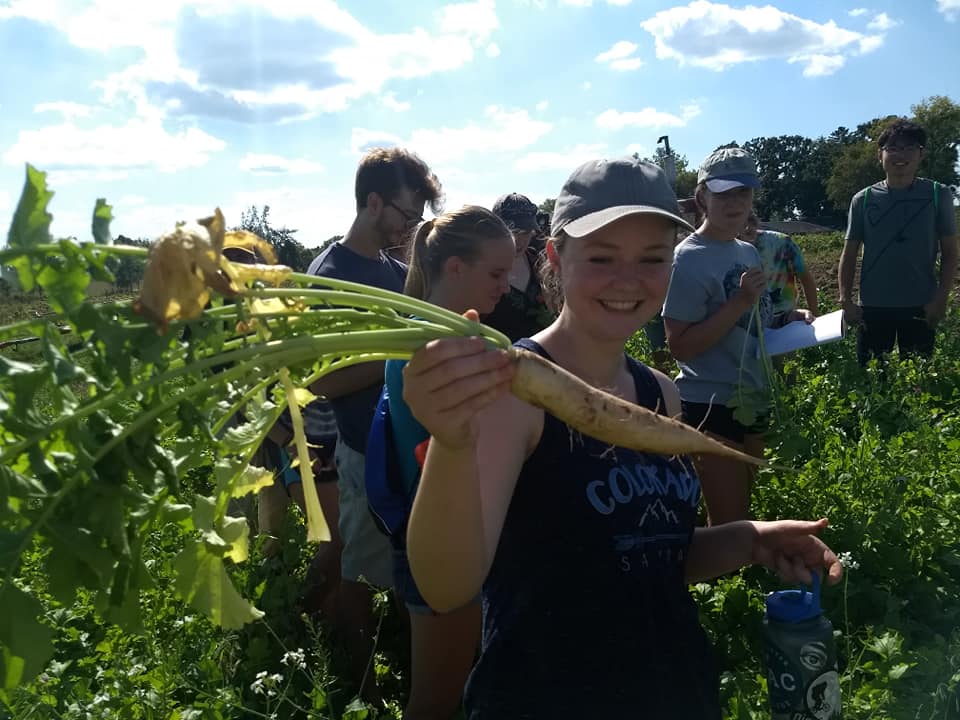 Geography student hold a large root vegetable from Common Harvest Farm
