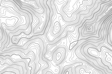 A black and white height map of some geography used for the speaker poster's background.