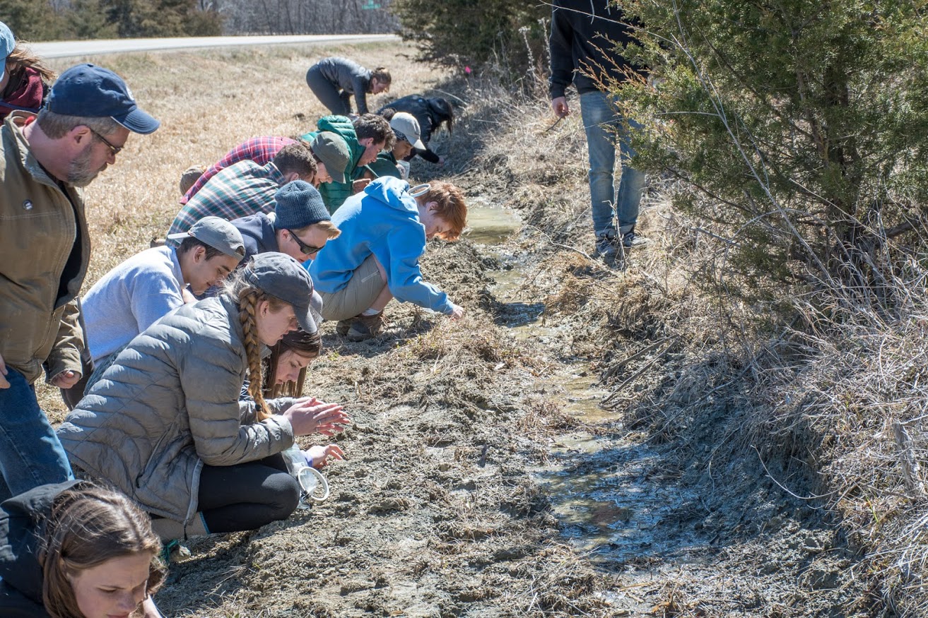 Students fossil hunting for HEE