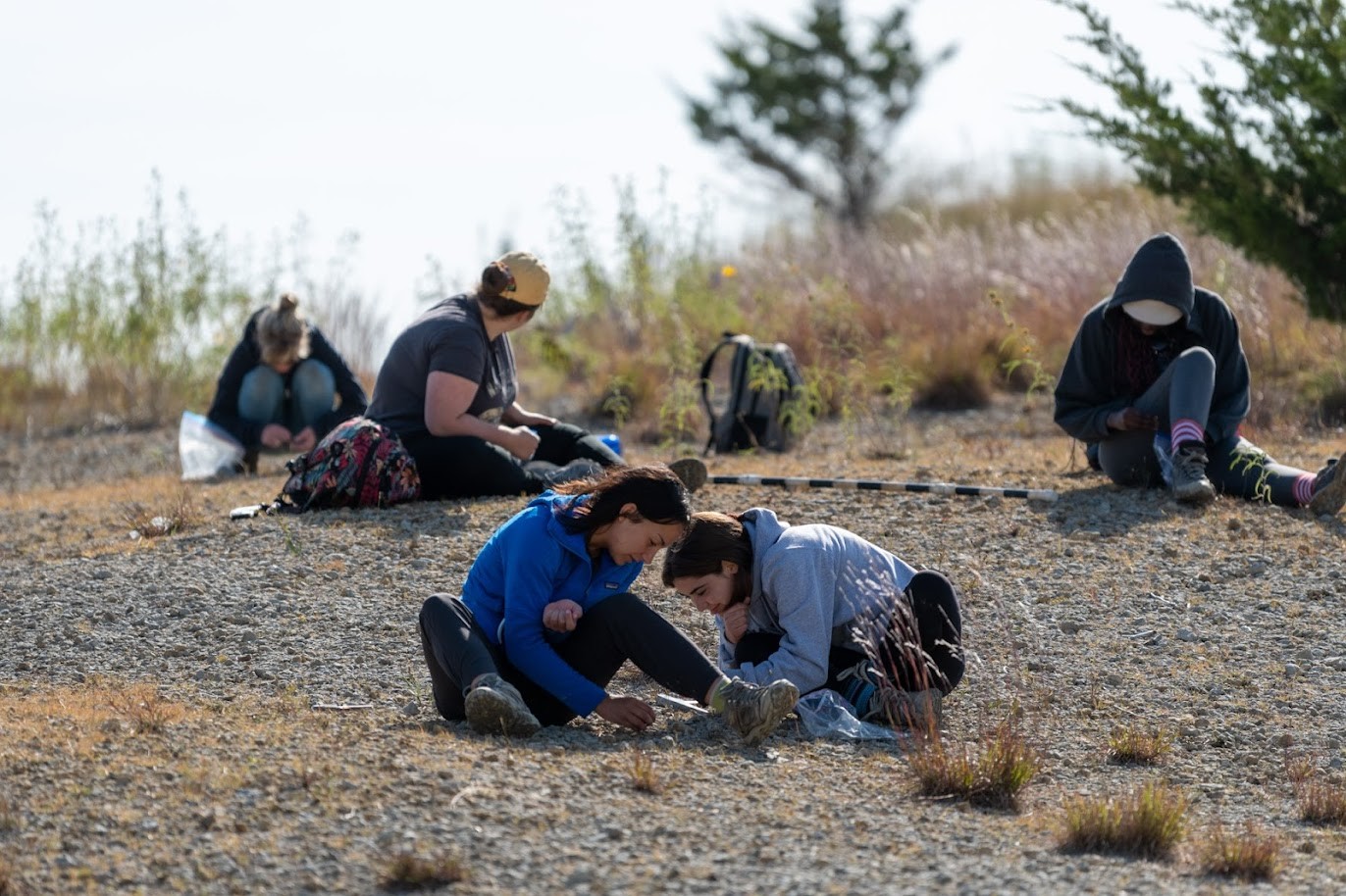 Paleobiology (GEOL 300)