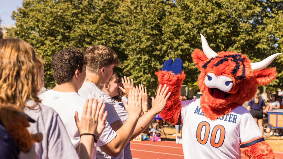 Macalester's Highland Cow mascot high fives a line of students.