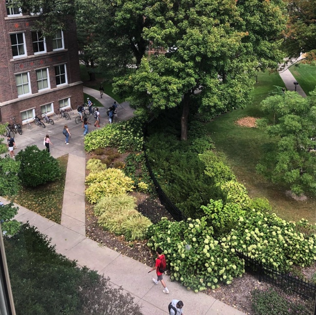 Pic from Old Main 3rd Floor