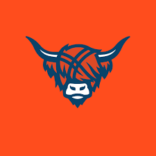 The cartoon face of Macalester athletics' orange highland cow mascot on a bright orange background.